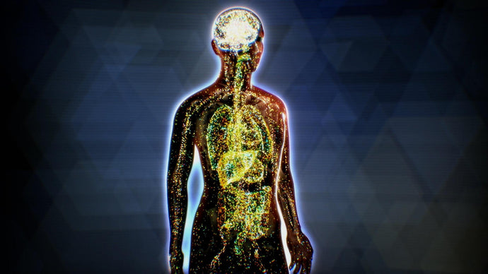 What Is The Endocannabinoid System?