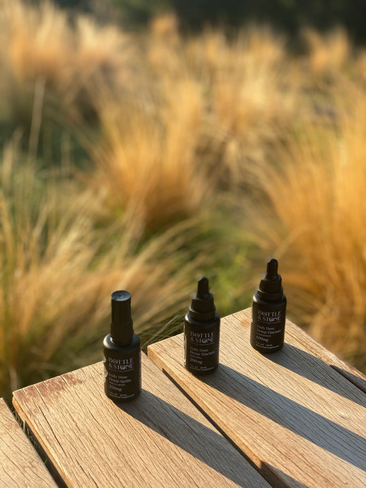 CBD Basics & Benefits: Behind The Popularity