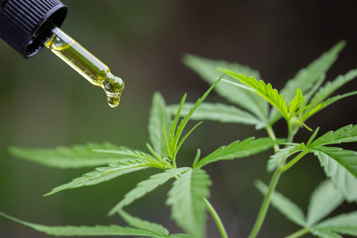 What Are Cannabinoids? Benefits, Effects, & Sources
